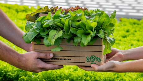 duas pessoas segurando com as mãos a box de verduras da BeGreen