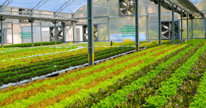 ALLOS e BeGreen: uma parceria de inovação e sustentabilidade