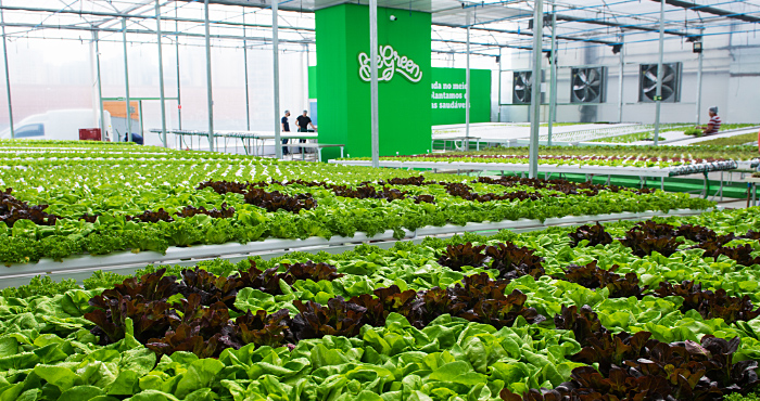 Aliansce Sonae inaugura primeira unidade da BeGreen na cidade de São Paulo