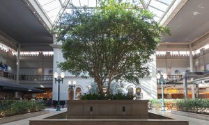 área externa do Shopping Curitiba
