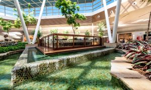 Paisagismos Catuaí Shopping Londrina